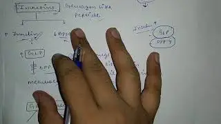 DPP-4 Inhibitors Anti -Diabetic Drug. Full explain in hindi