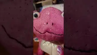 Webkinz Glamour Gecko unboxing!!