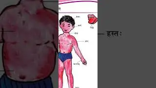 1. मम  अंगाणि // ધોરણ : 6 // વિષય : સંસ્કૃત // semester : 2nd   #GOPAL STUDY 📚✏CIRCLE