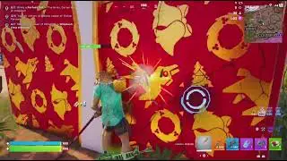 Fortnite solos (13 kills)