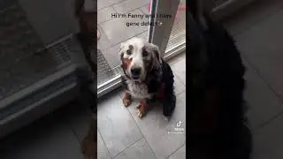 My name is Fanny and I have a gene defect