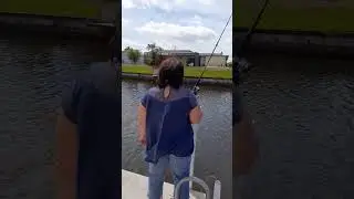 Un d&iacute;a  de Pesca en Cape Coral Florida USA.
