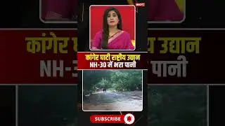 Water filled in Kanger Valley National Park NH-30, movement affected. #bastar #cgnews #viralshorts