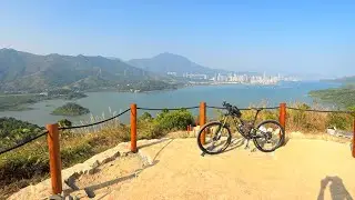 高峒