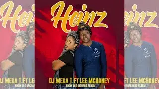 Dj Mega T - Heinz feat. Lee McHoney  (Official Lyric Video 4K)