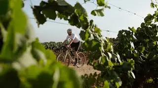 WINELAND GRAVEL EXPERIENCE | VIDEO OFICIAL