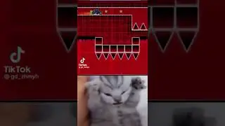два видео раздельны из тик тока #рек#рекомендации#ржака