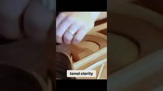 Daniel Stark DT Guitar: Innovation & Beauty