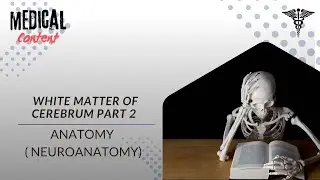 White Matter of Cerebrum Part 2 by Dr. Ashwani Kumar