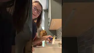 Applying Nexgard Combo topical parasite treatment to a cat named Mittens