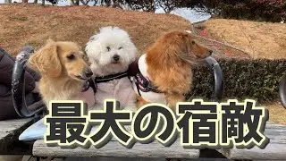 ライバル現る！！