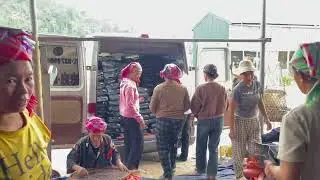 Những chuyến gạo cuối nếp nậm khum #doanvanbau #namkhumcoop #chuyenmoituan 