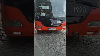 Př&iacute;jezd autobusu SOR CN 8.5 e.č.1920 do zast&aacute;vky Palmovka #bus #praha #sor #aboutme #shorts