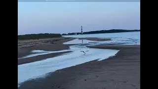 Masonboro and Cape Lookout