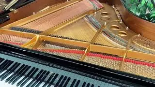 Denver's fantastic selection of pre-owned Steinways!