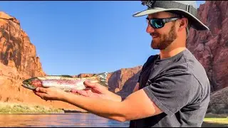 Fishing Beautiful Lees Ferry in Arizona for Trout! (Crazy views)