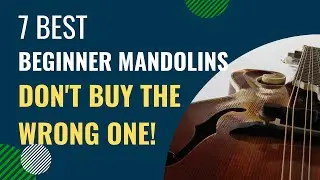 7 Best Beginner Mandolins for Easy and Fun Learning | Don't Buy The Wrong One