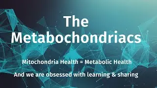 Intro The Metabochondriacs  Brett Smith & Dr. Ryan Cooley - Awakening & Healing w/ Metabolic Therapy