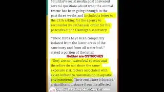 N3XT &middot; Warning From family farm to animal rescue, when will the CFIA stop k1ll1ng innocent animals,