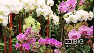 Flowers on the Park Florist Shop in New York NY offering Floral Design and Bouquet