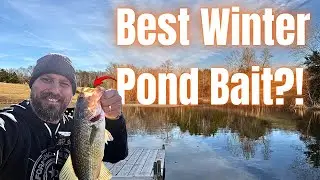 Best Pond Bait for January | Bass & Crappie Still Biting 🔥