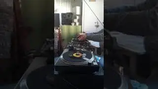 Tribute to Timmion 🎧 part 1