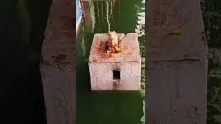 tola man ma basake 👌&hearts;️/ shorts #.cg / chandra D vlog # sunil soni