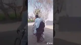 The  Best Funny Urdu Voiceover