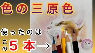 《色の三原色》たった5本だけで描く色鉛筆画【猫】Drawing a cat with only 5 colors  色鉛筆の塗り方　初心者向け