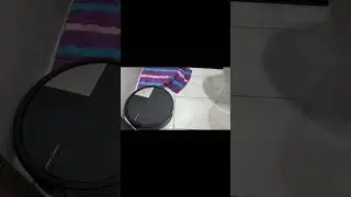 iRobot Roomba Max 705 Combo 掃拖機器人 三個月使用心得分享
