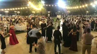 Yiğit Beşkardeşler -Arnavut Düğünü 2022
