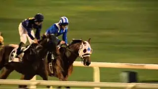 Meydan Racecourse, 11 March 2016 - Race 2 - Americas Super Region Handicap