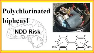 polychlorinated biphenyl