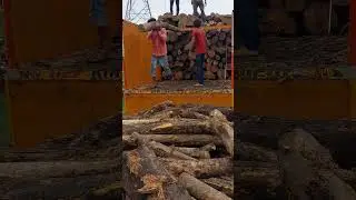 wood truck unloading🪵#shortvedio#aadishaktitimber#