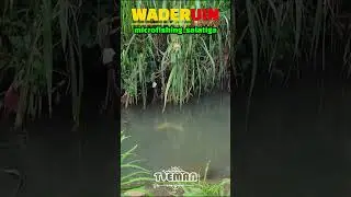 Wadermania Salatiga #mancing #microfhising #fishing #waderan #mancingwader #spotmancing