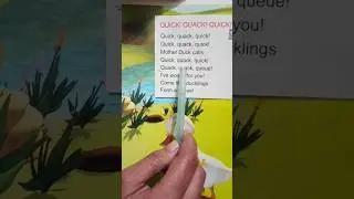 QUICK!QUACK! QUICK! #lkg #lkgpoem #kidslearning #kidsvideo #kids #quickquackquick #poetry