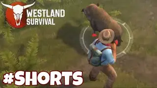 Westland Survival Be A Survivor In The Wild West | Boar 🐗