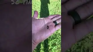 САМАЯ МАЛЕНЬКАЯ приманка для ловли рыбы на ручье!
