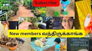 Birthday Gift Shopping|New Plants வாங்கியாச்சு||Pets love always #lifewithease channel 