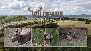 Wildpark Dillenburg-Donsbach