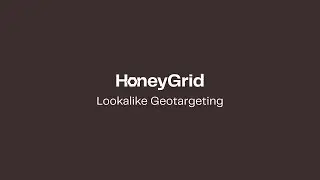 HoneyGrid Microtargeting Ads