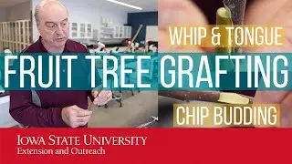 Grafting Fruit Trees: Whip & Tongue and Chip Budding Methods