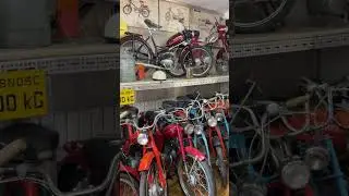 Нашел коллекцию польских мопедов