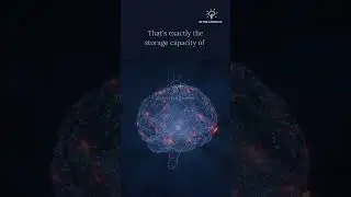 Can your brain store an astonishing 2.5 Million GB data? #shorts #youtubeshorts #viralshorts