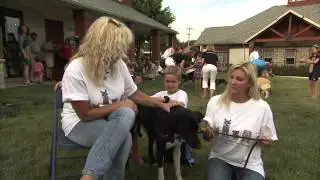 6abc Shelter Me: Rescue Dogs Rock Animal Rescue