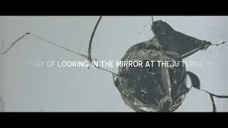 The Turtle Project - Aftermath [Official Lyric Video]
