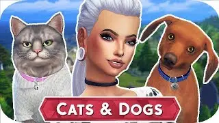 THE SIMS 4||CATS&DOGS|PART 16|KITTENS AGE UP!!