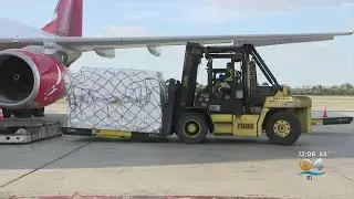 COVID-19 Is Creating A Cargo Flight Boom At Miami International Airport