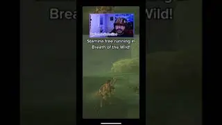 Stamina free running in Breath of the Wild - BoTW