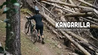 Kangarilla - Mountain Biking South Australia